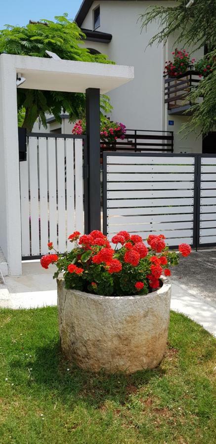Fiori Apartment Umag Eksteriør billede