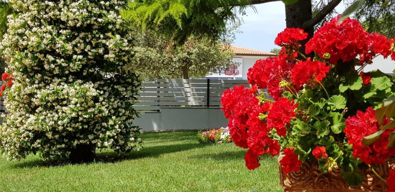 Fiori Apartment Umag Eksteriør billede